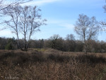 grafheuvel